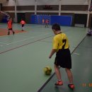 turmikol 27